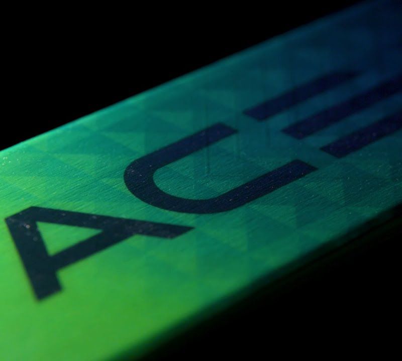 Elan Ace SCX Fusion + EMX 12 ски за спускане зелено сини AAJHRC21 15