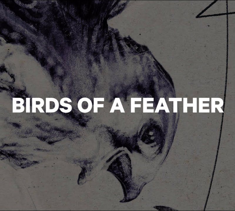 Дамски сноуборд CAPiTA Birds Of A Feather white 1211119 13