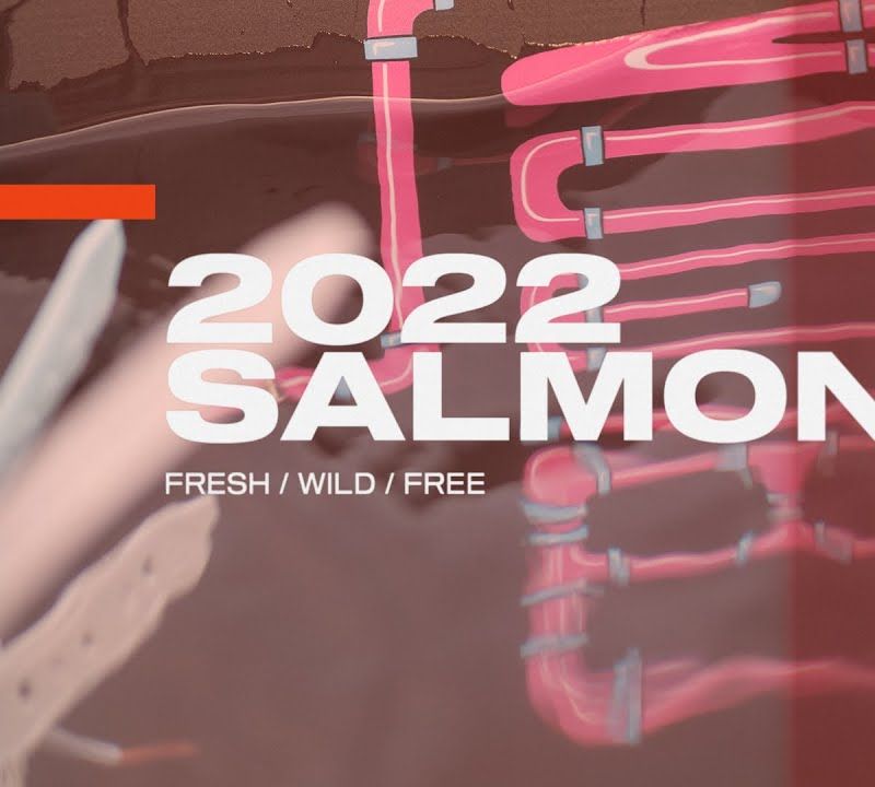 Уейкборд SLINGSHOT Salmon pink 9