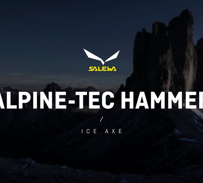 Salewa Alpine-Tec Hammer 3990 тъмно синьо 00-0000001756 8