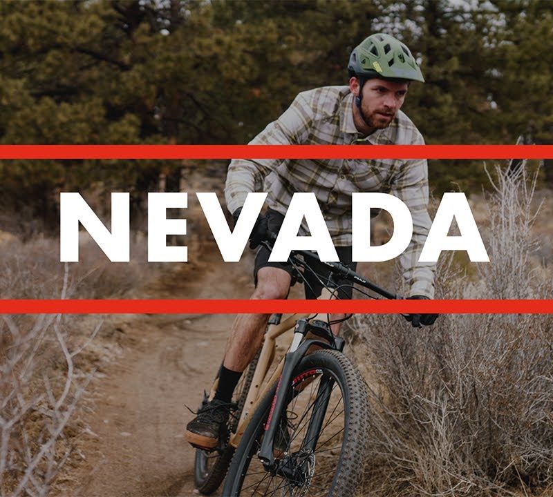 Планински велосипед Fuji Nevada 29 1.3 satin silver 5