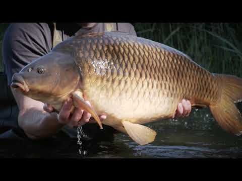 Sportex Purista Carp XTF шарански прът черен 130275 6