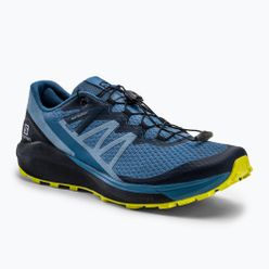 Мъжки обувки за бягане Salomon Sense Ride 4 blue L41210400