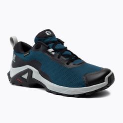 Мъжки обувки за трекинг Salomon X Reveal 2 GTX blue L41623700