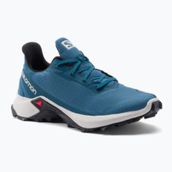 Мъжки обувки за пътеки Salomon Alphacross 3 blue L41599700
