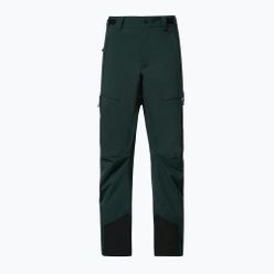 Мъжки панталони за сноуборд Oakley Axis Insulated green FOA403446