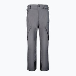 Мъжки панталон за сноуборд Volcom New Articulated grey G1352211-DGR
