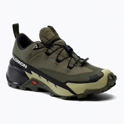 Мъжки обувки за преходи Salomon Cross Hike GTX 2 зелен L41730800