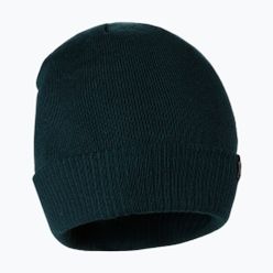 Мъжка зимна шапка Pitbull Small Logo green 6190133600