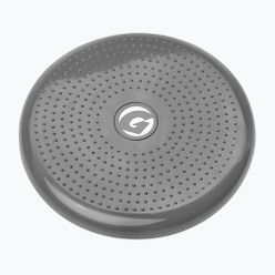 Стабилизиращ диск Gipara grey 3013