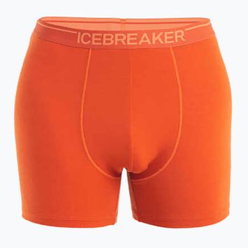 Мъжки термални боксерки Icebreaker Anatomica molten