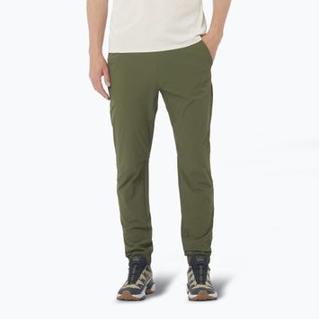 Мъжки панталони за трекинг Salomon Wayfarer Ease grape leaf