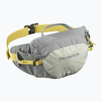 Salomon Trailblazer 4 l sedona sage/seagrass/cress green бъбрек