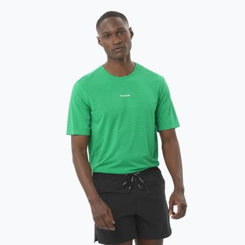 Мъжка тениска за бягане Salomon SHAKEout Core parakeet