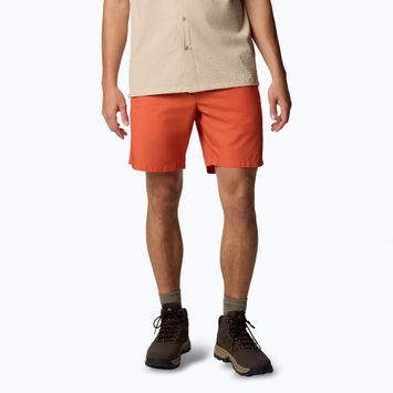 Мъжки шорти за трекинг Columbia Washed Out tuscan