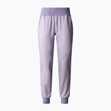 Дамски панталони за трекинг The North Face Juniper Basin Jogger lunar slate heather