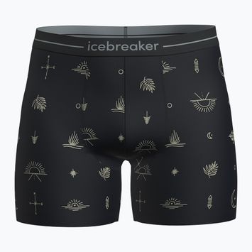 Термо боксерки Icebreaker Merino150 Anatomica Explore More black/aop