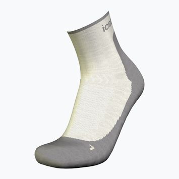 Дамски чорапи за трекинг Icebreaker Merino Hike+ Light Mini ecru hthr/alloy