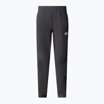 Детски панталони за трекинг The North Face Exploration asphalt grey