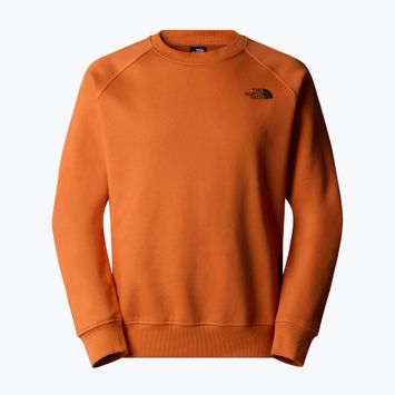 Мъжки суитшърт The North Face Raglan Box Nse Crew iron bronze/tnf black