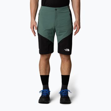 Мъжки къси панталони за трекинг The North Face Felik Slim Tapered Short duck green/tnf black