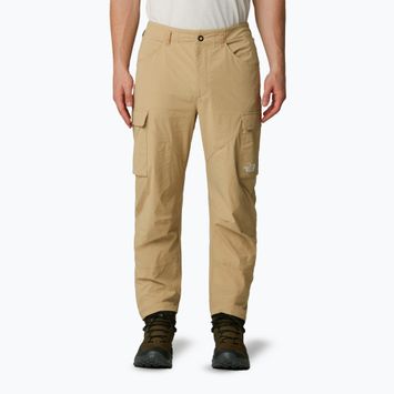 Мъжки панталони за трекинг The North Face Exploration Cargo khaki stone