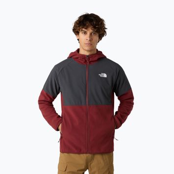 Мъжки суитшърт The North Face Glacier Heavyweight Full Zip HD sumac/asphalt grey