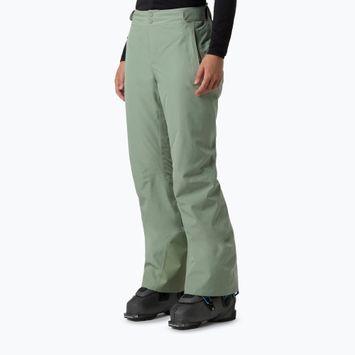 Дамски скиорски панталони The North Face Descendit Regular slate moss