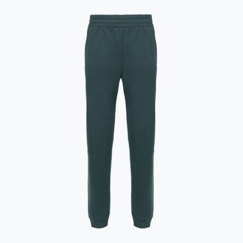 Дамски панталони The North Face Mountain Athletics Fleece deep cypress/space