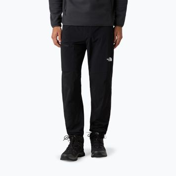 Мъжки софтшел панталони The North Face Speedlight Regular black