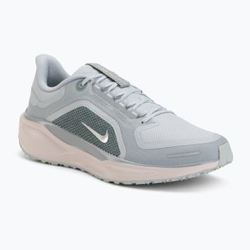 Мъжки обувки за бягане Nike Pegasus 41 GTX light pumice/pure platinum/silt red/metal silver