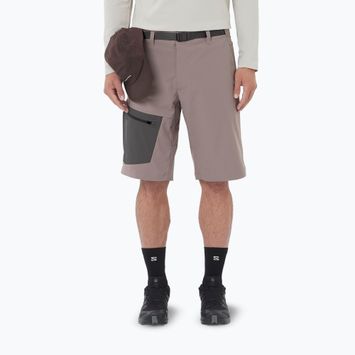 Мъжки шорти за трекинг Salomon Outerpath Utility iron