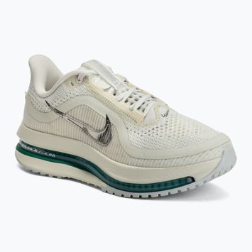 Дамски обувки за бягане Nike Pegasus Premium sea glass/malachite/metallic silver