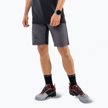 Мъжки шорти за трекинг DYNAFIT Transalper Light Dynastretch magnet