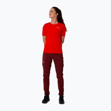 Дамски панталони за трекинг Salewa Pedroc 2 DST 2/1 maroon 00-0000028588