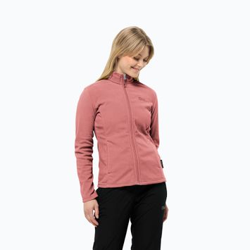 Дамски трекинг суитшърт Jack Wolfskin Taunus Fz