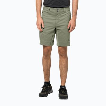 Къси панталони за трекинг за мъже Jack Wolfskin Activate Tour green 1507441