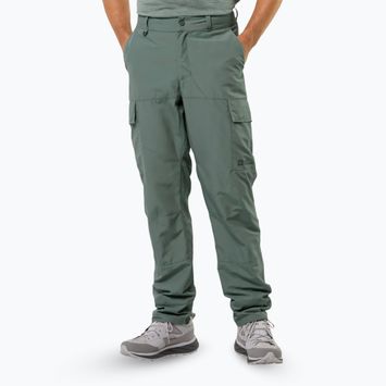Мъжки панталони за трекинг на Jack Wolfskin Barrier hedge green