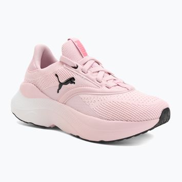 Дамски обувки за бягане PUMA Softride Mayve rose mauve/puma black/sun struck