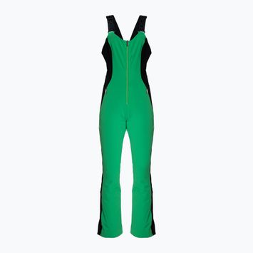 Ски панталони Descente Velche 19 bio green