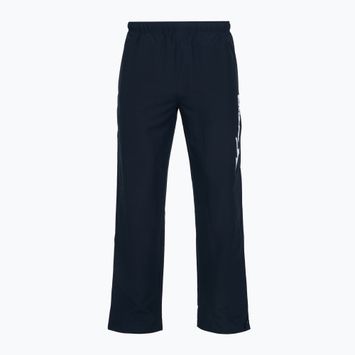 Мъжки панталони за тренировка Mizuno Takeshi Track navy
