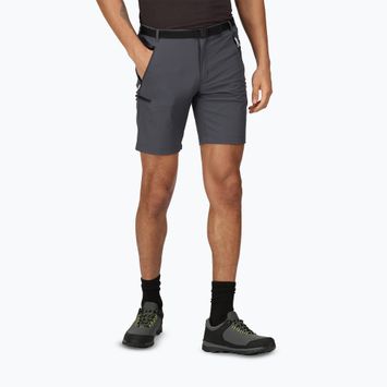 Мъжки къси панталони Regatta Xert Stretch III seal grey trekking