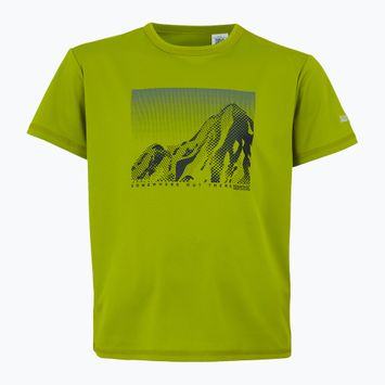 Детска тениска REGATTA Alvarado IX grenoble green