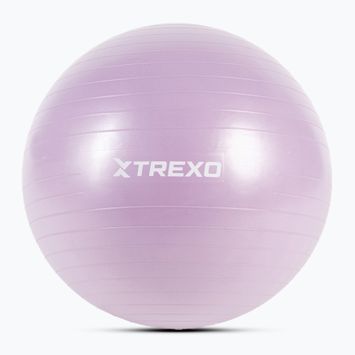 Гимнастическа топка XTREXO TXO-B4Z008-VT 65 cm рurple
