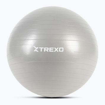 Гимнастическа топка Gymball XTREXO TXO-B4Z008-GY 65 cm grey