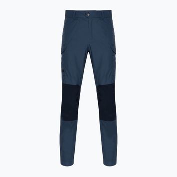 Мъжки панталони за трекинг Vandre Tur 576 синьо-зелен 62698 на Helly Hansen