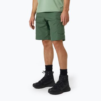 Helly Hansen мъжки къси панталони за трекинг Vandre Cargo green 62699_476