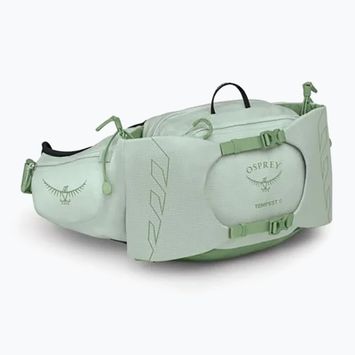 Osprey Tempest 6 л фрости мента / зелена ботаника бъбрек