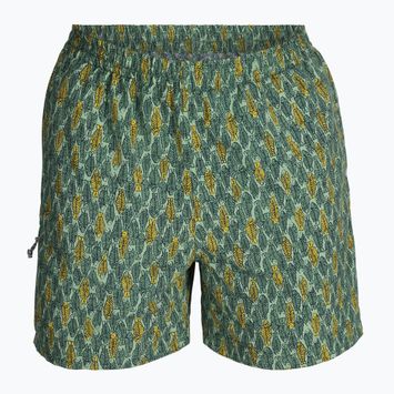 Мъжки панталони за трекинг Royal Robbins All-In algae flash pt