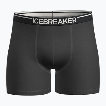 Мъжки термо боксерки icebreaker Anatomica plume jet heather